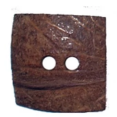 KÓKUSZGOMBOK