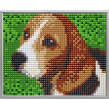 Pixel XL 4 alaplapos szett - Beagle