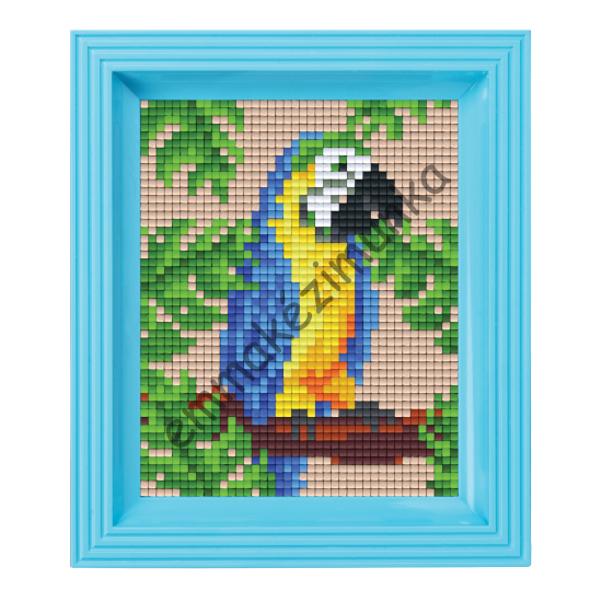 Pixel készlet - Papagáj (dzsungel)