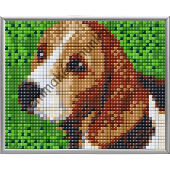Pixel XL 4 alaplapos szett - Beagle