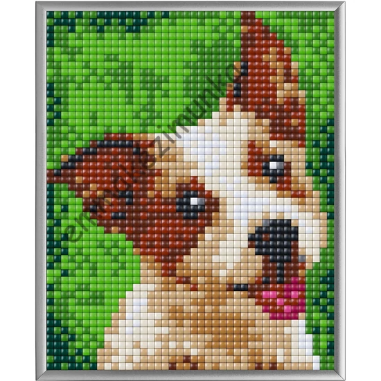 Pixel XL 4 alaplapos szett - Terrier